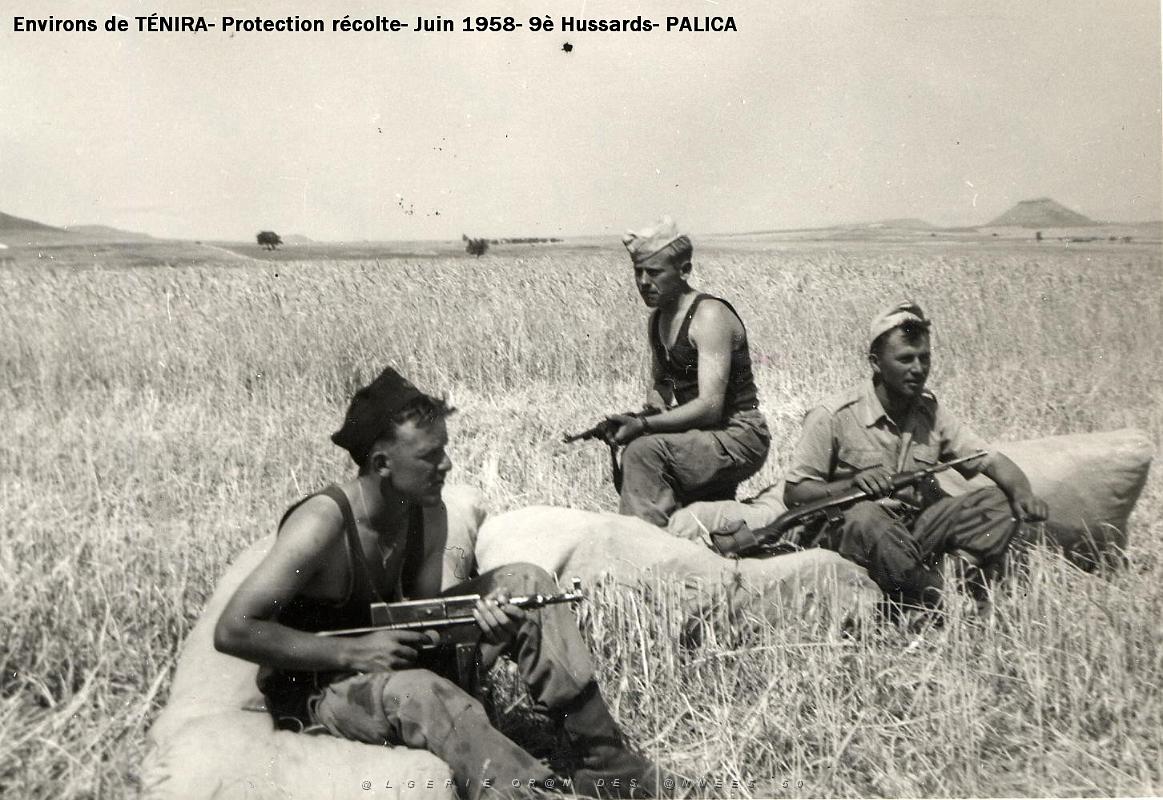 Palica - Divers 006.jpg
